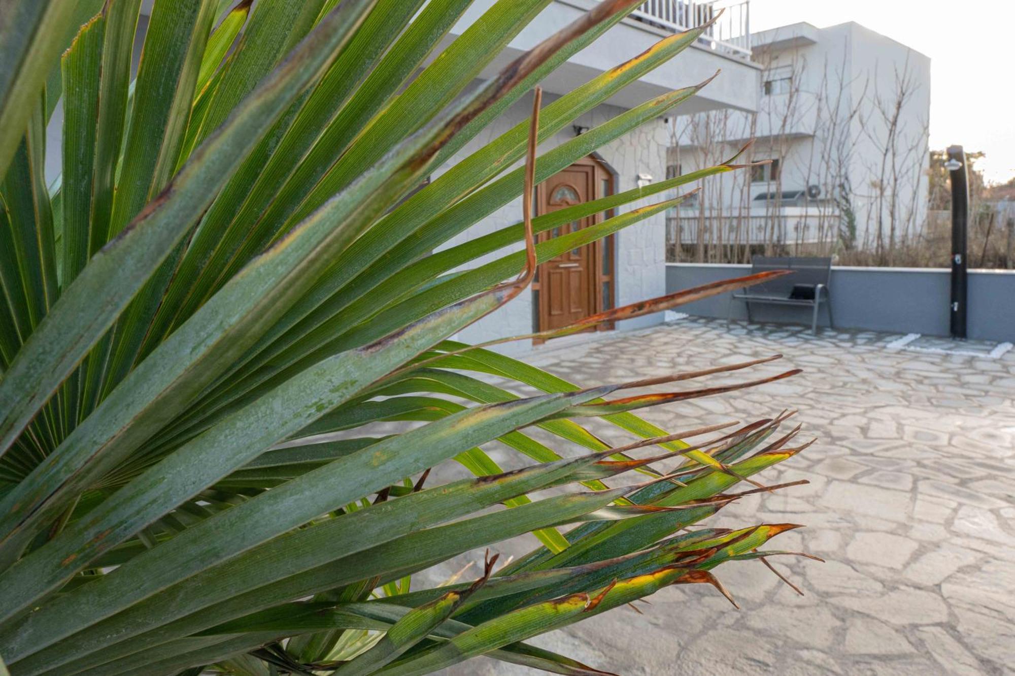 Noah Sea-View Apartments Neo Epivates Exterior photo